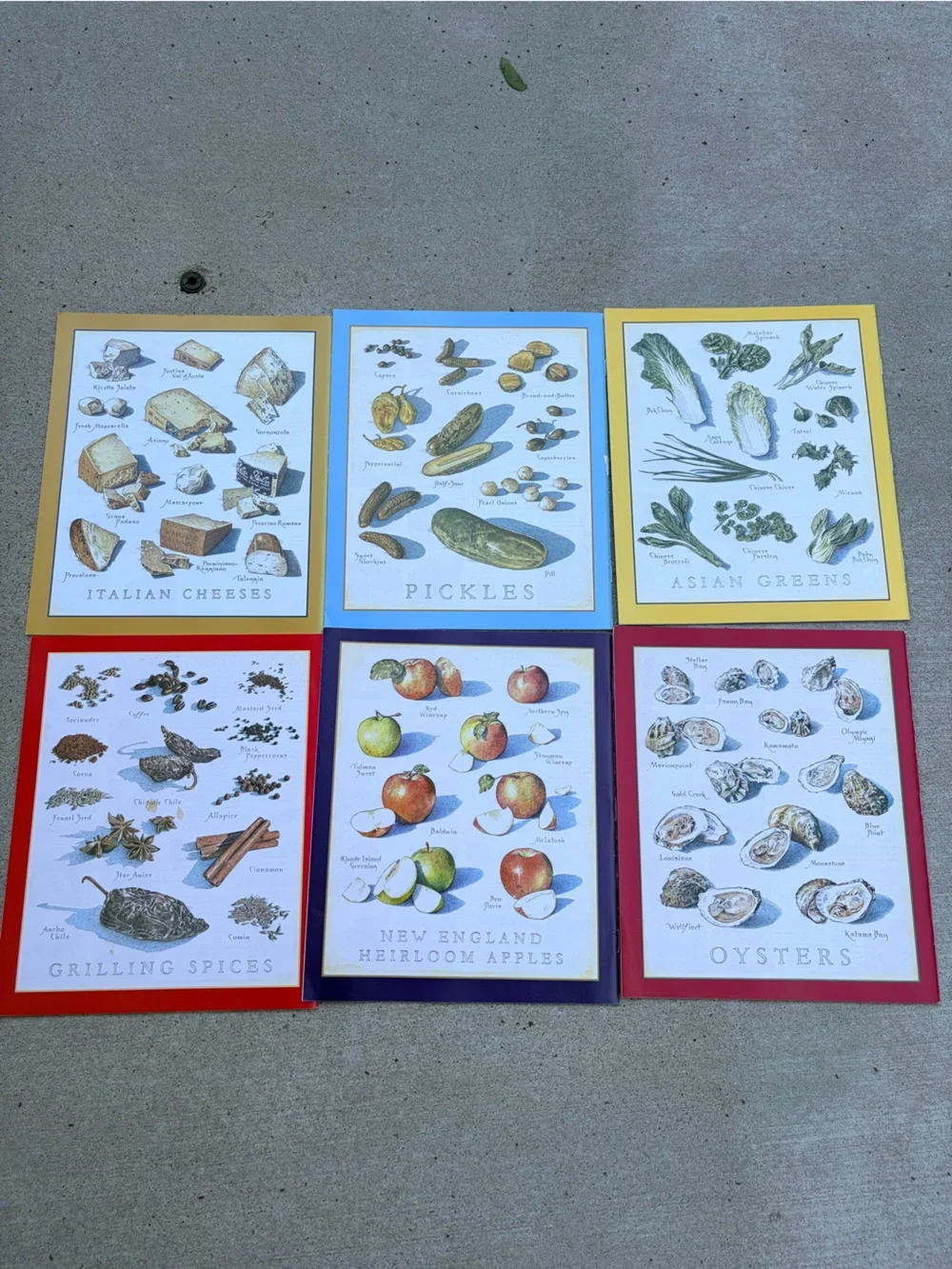 Cook’s Illustrated 2006 complete collection of 6 issues